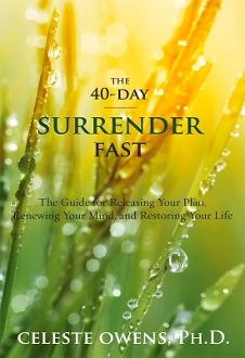 nov surrender book